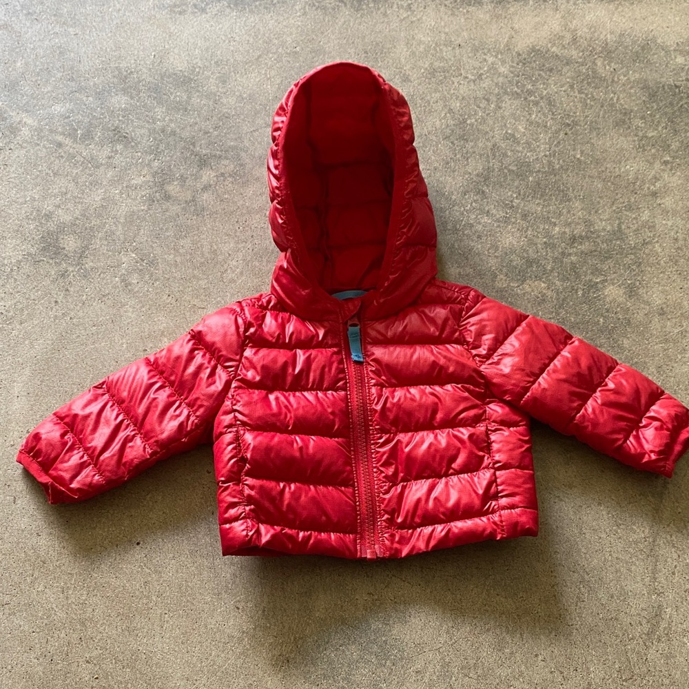 Primary red puffer 0-6 months